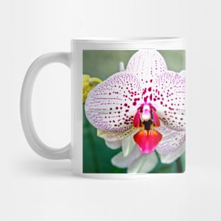 Spotted Violet and White Orchid Mug